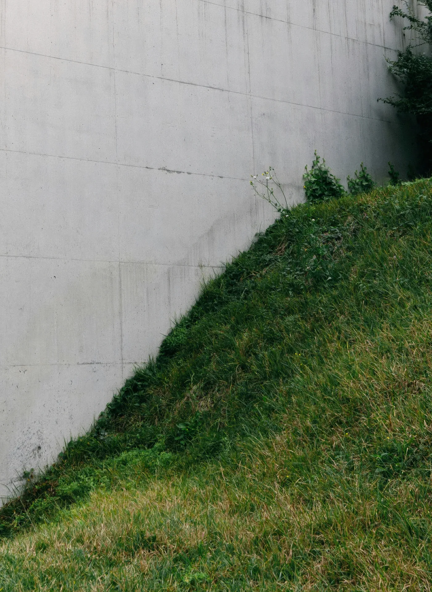 poured concrete retaining wall at a Pittsburgh home
